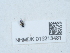  ( - NHMUK015213481)  @11 [ ] Unspecified (default): All Rights Reserved  Unspecified Unspecified