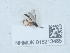  ( - NHMUK015213485)  @11 [ ] Unspecified (default): All Rights Reserved  Unspecified Unspecified