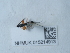  ( - NHMUK015214913)  @11 [ ] Unspecified (default): All Rights Reserved  Unspecified Unspecified