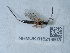  ( - NHMUK015214913)  @11 [ ] Unspecified (default): All Rights Reserved  Unspecified Unspecified