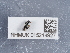  ( - NHMUK015214927)  @11 [ ] Unspecified (default): All Rights Reserved  Unspecified Unspecified