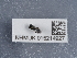  ( - NHMUK015214927)  @11 [ ] Unspecified (default): All Rights Reserved  Unspecified Unspecified
