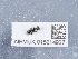  ( - NHMUK015214927)  @11 [ ] Unspecified (default): All Rights Reserved  Unspecified Unspecified
