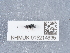  ( - NHMUK015214935)  @11 [ ] Unspecified (default): All Rights Reserved  Unspecified Unspecified