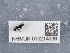  ( - NHMUK015214936)  @11 [ ] Unspecified (default): All Rights Reserved  Unspecified Unspecified