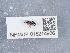  ( - NHMUK015214936)  @11 [ ] Unspecified (default): All Rights Reserved  Unspecified Unspecified