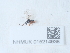  ( - NHMUK015214938)  @11 [ ] Unspecified (default): All Rights Reserved  Unspecified Unspecified