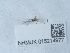  ( - NHMUK015214977)  @11 [ ] Unspecified (default): All Rights Reserved  Unspecified Unspecified
