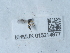  ( - NHMUK015214977)  @11 [ ] Unspecified (default): All Rights Reserved  Unspecified Unspecified
