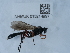  ( - NHMUK015214997)  @11 [ ] Unspecified (default): All Rights Reserved  Unspecified Unspecified