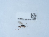  ( - NHMUK015215010)  @11 [ ] Unspecified (default): All Rights Reserved  Unspecified Unspecified