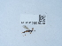  ( - NHMUK015215010)  @11 [ ] Unspecified (default): All Rights Reserved  Unspecified Unspecified