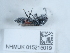  ( - NHMUK015215019)  @11 [ ] Unspecified (default): All Rights Reserved  Unspecified Unspecified