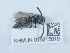  ( - NHMUK015215019)  @11 [ ] Unspecified (default): All Rights Reserved  Unspecified Unspecified