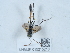  ( - NHMUK015215216)  @11 [ ] Unspecified (default): All Rights Reserved  Unspecified Unspecified
