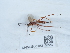 ( - NHMUK015215223)  @11 [ ] Unspecified (default): All Rights Reserved  Unspecified Unspecified