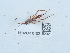  ( - NHMUK015215232)  @11 [ ] Unspecified (default): All Rights Reserved  Unspecified Unspecified