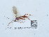  ( - NHMUK015215232)  @11 [ ] Unspecified (default): All Rights Reserved  Unspecified Unspecified