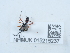  ( - NHMUK015215237)  @11 [ ] Unspecified (default): All Rights Reserved  Unspecified Unspecified