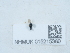  ( - NHMUK015215360)  @11 [ ] Unspecified (default): All Rights Reserved  Unspecified Unspecified