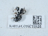  ( - NHMUK015215528)  @11 [ ] Unspecified (default): All Rights Reserved  Unspecified Unspecified