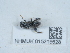  ( - NHMUK015215528)  @11 [ ] Unspecified (default): All Rights Reserved  Unspecified Unspecified
