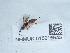  ( - NHMUK015215543)  @11 [ ] Unspecified (default): All Rights Reserved  Unspecified Unspecified