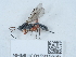  ( - NHMUK015215555)  @11 [ ] Unspecified (default): All Rights Reserved  Unspecified Unspecified