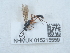  ( - NHMUK015215559)  @11 [ ] Unspecified (default): All Rights Reserved  Unspecified Unspecified