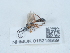  ( - NHMUK015215559)  @11 [ ] Unspecified (default): All Rights Reserved  Unspecified Unspecified