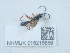  ( - NHMUK015215559)  @11 [ ] Unspecified (default): All Rights Reserved  Unspecified Unspecified