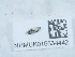  ( - NHMUK015534442)  @11 [ ] Unspecified (default): All Rights Reserved  Unspecified Unspecified