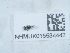  ( - NHMUK015534442)  @11 [ ] Unspecified (default): All Rights Reserved  Unspecified Unspecified