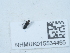  ( - NHMUK015534465)  @11 [ ] Unspecified (default): All Rights Reserved  Unspecified Unspecified