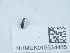  ( - NHMUK015534465)  @11 [ ] Unspecified (default): All Rights Reserved  Unspecified Unspecified