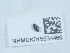  ( - NHMUK015534466)  @11 [ ] Unspecified (default): All Rights Reserved  Unspecified Unspecified