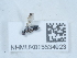  ( - NHMUK015534923)  @11 [ ] Unspecified (default): All Rights Reserved  Unspecified Unspecified