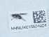  ( - NHMUK015534924)  @11 [ ] Unspecified (default): All Rights Reserved  Unspecified Unspecified