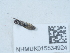  ( - NHMUK015534924)  @11 [ ] Unspecified (default): All Rights Reserved  Unspecified Unspecified
