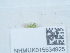  ( - NHMUK015534925)  @11 [ ] Unspecified (default): All Rights Reserved  Unspecified Unspecified