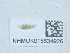  ( - NHMUK015534926)  @11 [ ] Unspecified (default): All Rights Reserved  Unspecified Unspecified