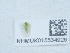  ( - NHMUK015534926)  @11 [ ] Unspecified (default): All Rights Reserved  Unspecified Unspecified