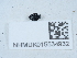  ( - NHMUK015534932)  @11 [ ] Unspecified (default): All Rights Reserved  Unspecified Unspecified