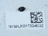  ( - NHMUK015534932)  @11 [ ] Unspecified (default): All Rights Reserved  Unspecified Unspecified