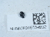  ( - NHMUK015534932)  @11 [ ] Unspecified (default): All Rights Reserved  Unspecified Unspecified