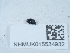  ( - NHMUK015534932)  @11 [ ] Unspecified (default): All Rights Reserved  Unspecified Unspecified