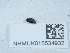  ( - NHMUK015534932)  @11 [ ] Unspecified (default): All Rights Reserved  Unspecified Unspecified