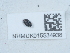  ( - NHMUK015534938)  @11 [ ] Unspecified (default): All Rights Reserved  Unspecified Unspecified