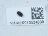  ( - NHMUK015534938)  @11 [ ] Unspecified (default): All Rights Reserved  Unspecified Unspecified