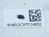  ( - NHMUK015534938)  @11 [ ] Unspecified (default): All Rights Reserved  Unspecified Unspecified